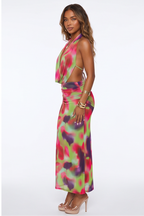 Cataleya Vibrant Print Plunge Cowl Neck Maxi Dress