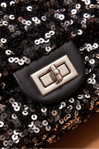 Chloe Sequins Flap Chain Strap Shoulder Bag