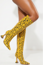 Valentina Pointed Toe Flared Heel Knee High Boots